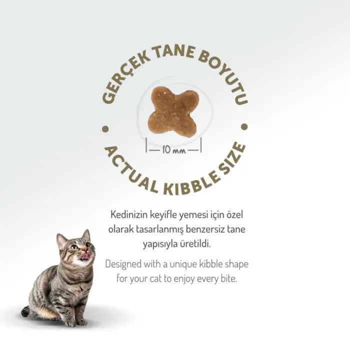 Felicia Düşük Tahıllı Hipoalerjenik Tavuklu Anne ve Yavru Kedi Maması 2 Kg