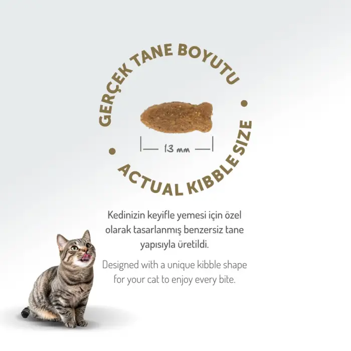 Felicia Düşük Tahıllı Hipoalerjenik Somonlu Yetişkin Kedi Maması 2 Kg