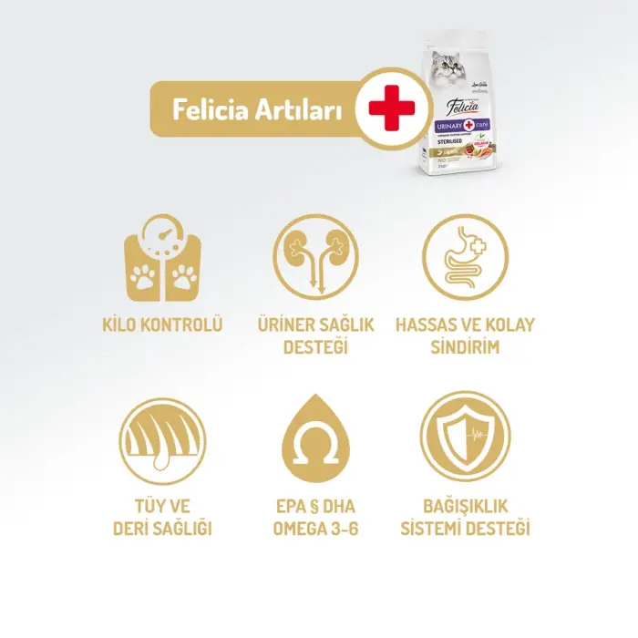 Felicia Düşük Tahıllı Hipoalerjenik Somonlu Kısırlaştırılmış Kedi Maması 2 Kg