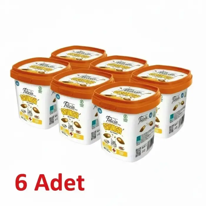 Felicia Crunch Anti Hairball Kedi Ödülü 100 Gr 6lı