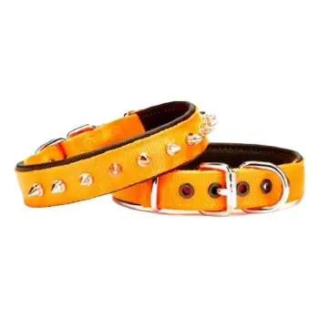 Doggie Comfort Dokuma Çivili Köpek Boyun Tasması Large Turuncu 2.5x42-50 Cm