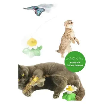 Petpretty Hareketli Dönen Kelebek Kedı Oyuncağı Evcıl Hayvan Oyuncağı