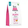 Brit Care Tüm Irklar İçin Somonlu Ve Patatesli Tahılsız Yavru Köpek Maması 3 Kg