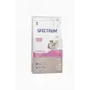 Spectrum Kitten 38 Yavru Kedi Maması 2 Kg
