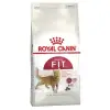 Royal Canin Fit 32 Yetişkin Kedi Maması 400 gr