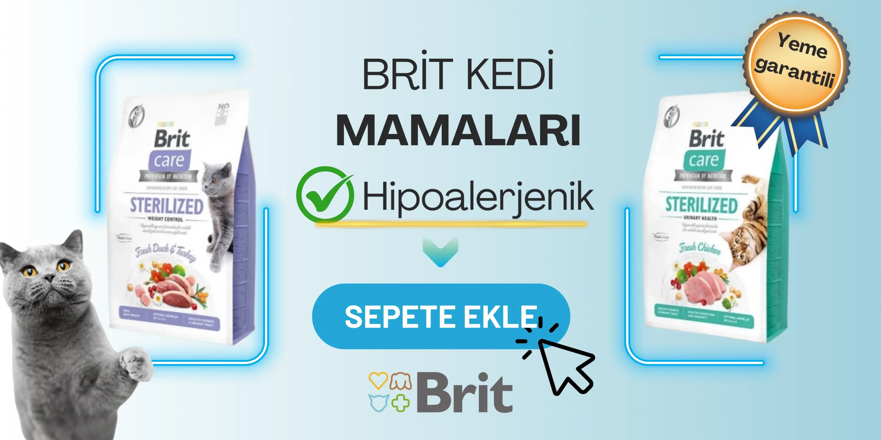 Brit