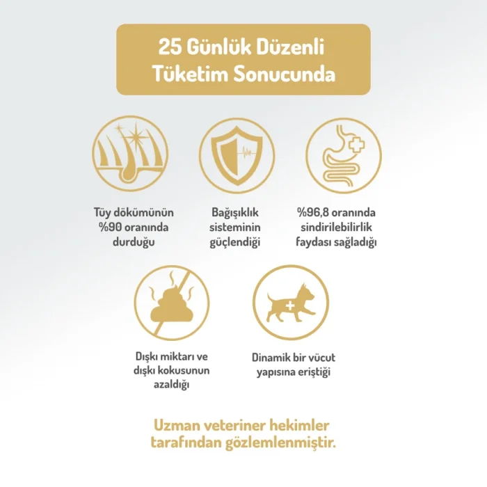 Felicia Düşük Tahıllı Hipoalerjenik Kuzu Etli Orta ve Büyük Irk Yetişkin Köpek Maması 3 Kg