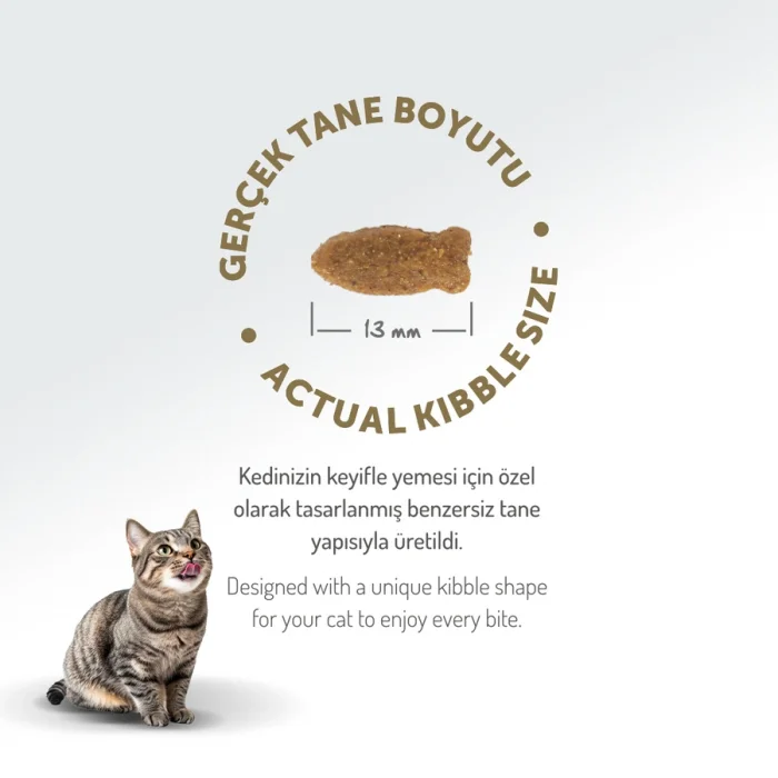 Felicia Düşük Tahıllı Hipoalerjenik Somonlu Yetişkin Kedi Maması 2 Kg