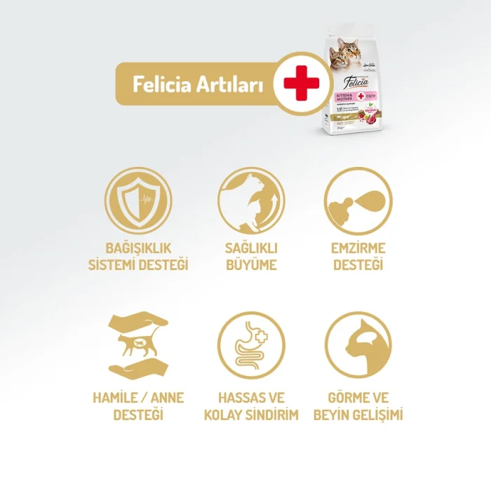 Felicia Düşük Tahıllı Hipoalerjenik Kuzu Etli Anne ve Yavru Kedi Maması 2 Kg