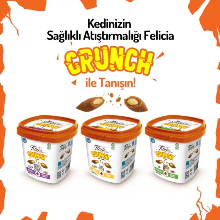 Felicia Crunch Vitality Kedi Ödülü 100 gr 6lı