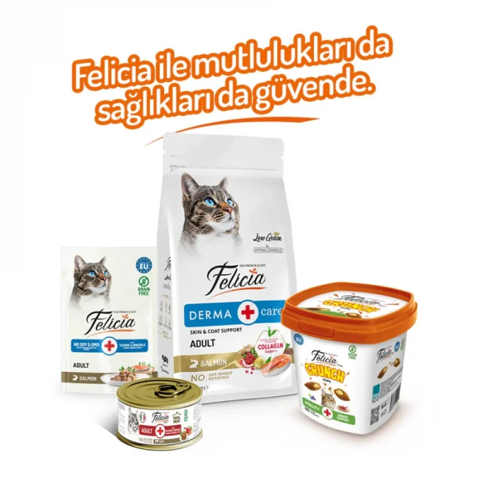 Felicia Crunch Vitality Kedi Ödülü 100 gr 6lı