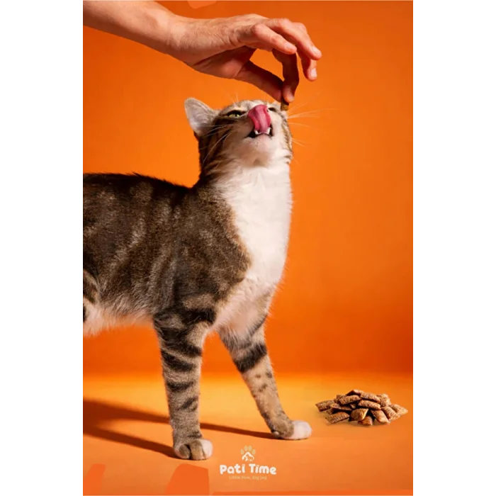 Felicia Crunch Beauty Kedi Ödülü 100 gr 6Lı