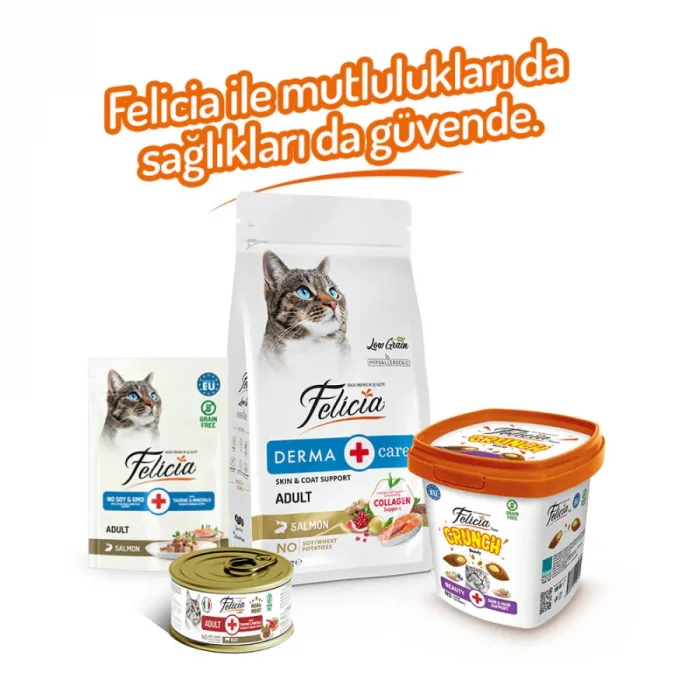 Felicia Crunch Beauty Kedi Ödülü 100 gr 6Lı