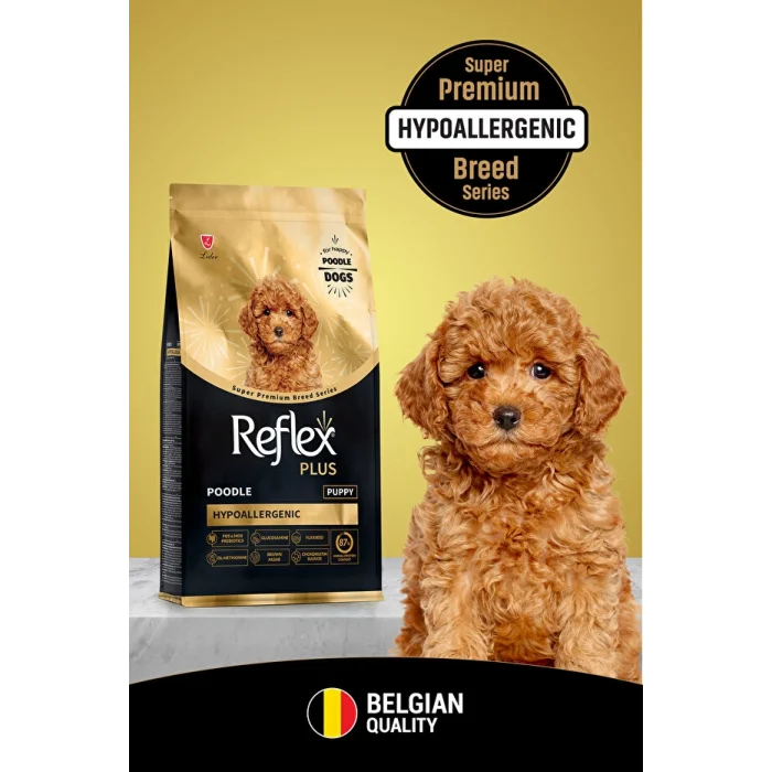 Reflex Plus Poodle Somonlu Yavru Köpek Maması 8 kg