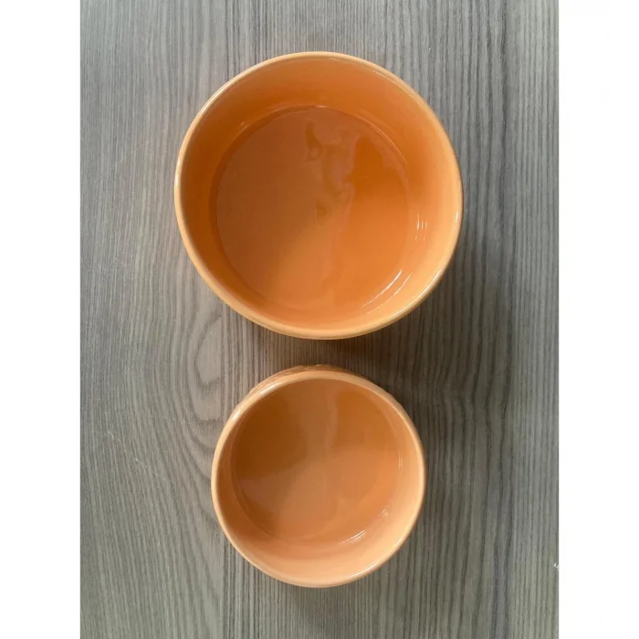 Vetinova Seramik Mama Kabı İkili Set