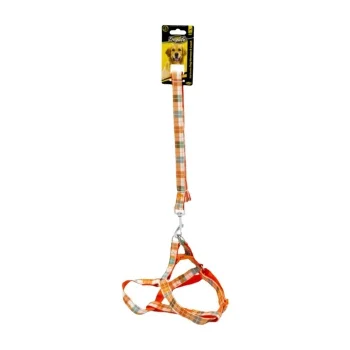 Doglife Desenli Köpek Tasması Karışık Renkli 2 Cm