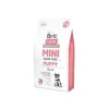 Brit Care Mini Puppy Tahılsız Kuzu Etli Küçük Irk Yavru Köpek Maması 2kg