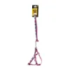 Doglife Ekose Desenli Köpek Tasması Karışık Renkli 1.5 Cm