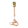 Doglife Desenli Köpek Tasması Karışık Renkli 2 Cm