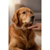 Vetinova Kedi Köpek Tek Taraflı Kıtık Açıcı Tarak Büyük