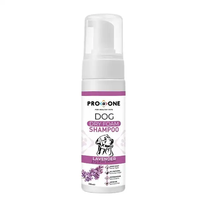 Pro One Felıne Canın Köpük Şampuan Lavanta 200 Ml