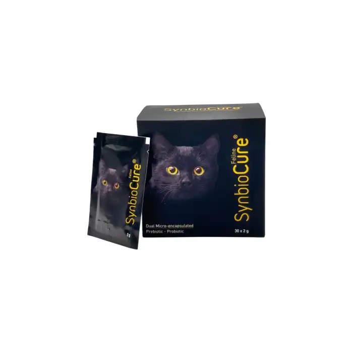Synbiocure Kediler İçin Toz Probiyotik 5x2 Gr