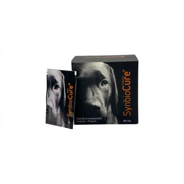 Synbiocure Köpekler İçin Toz Probiyotik 10x2 Gr