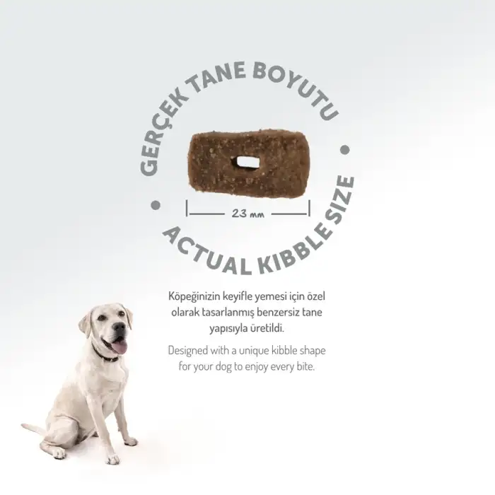 Felicia Düşük Tahıllı Hipoalerjenik Kuzu Etli Orta ve Büyük Irk Yetişkin Köpek Maması 3 Kg