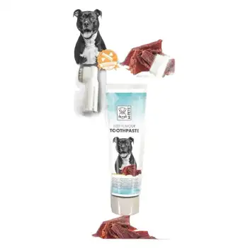 M-Pets Köpekler İçin Diş Macunu Fırça Seti