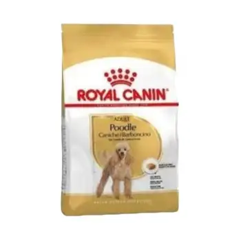 Royal Canin Poodle Adult Köpek Maması 3 Kg