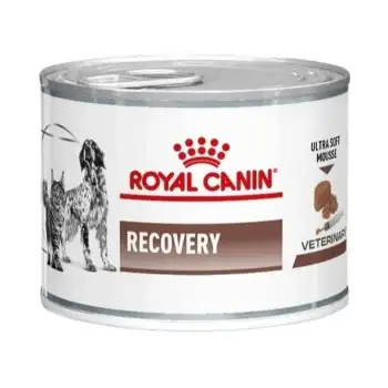 Royal Canin Kedi Köpek Recovery Konserve Yaş Mama 195 Gr