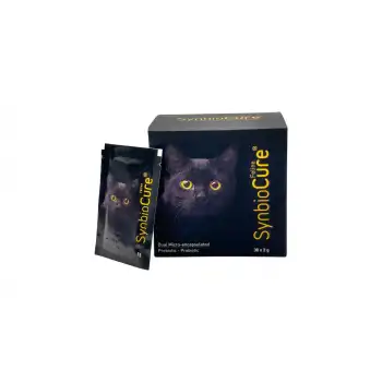 Synbiocure Kediler İçin Toz Probiyotik 5x2 Gr