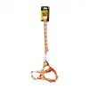 Doglife Desenli Köpek Tasması Karışık Renkli 2 Cm