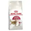 Royal Canin Fit 32 Yetişkin Kedi Maması 400 gr