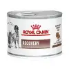 Royal Canin Kedi Köpek Recovery Konserve Yaş Mama 195 Gr