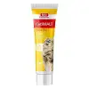 Bio PetActive Cati Malt Paste Tüy Yumaği Önleyici Kedi Vitamini 100 Ml