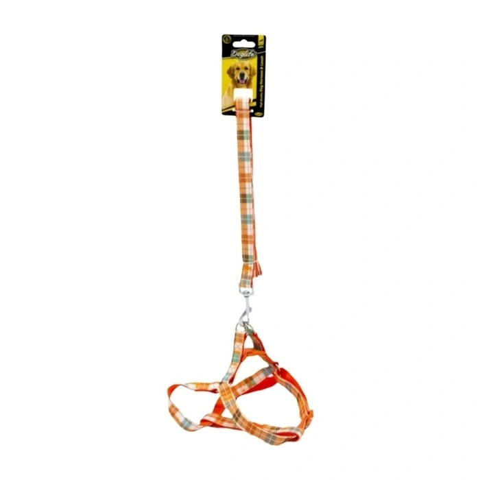 Doglife Desenli Köpek Tasması Karışık Renkli 2 Cm