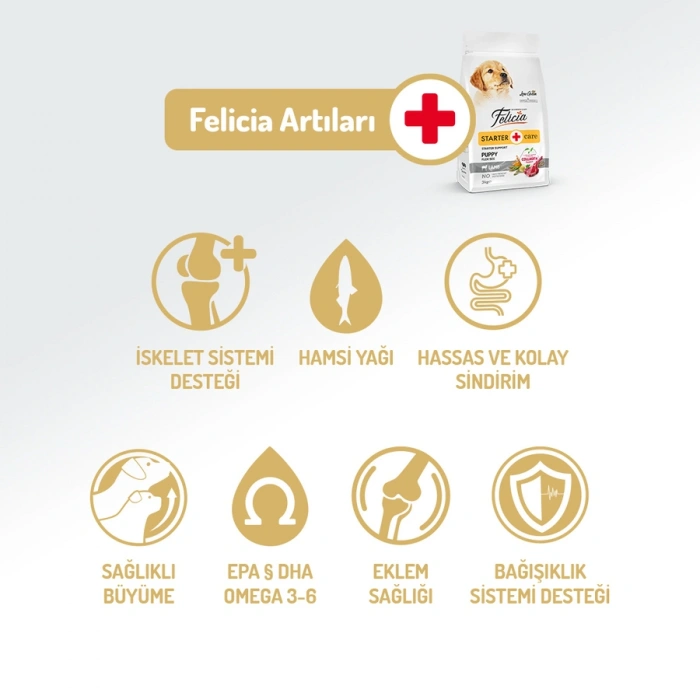 Felicia Düşük Tahıllı Hipoalerjenik Kuzu Etli Küçük Irk Yavru Köpek Maması 3 Kg