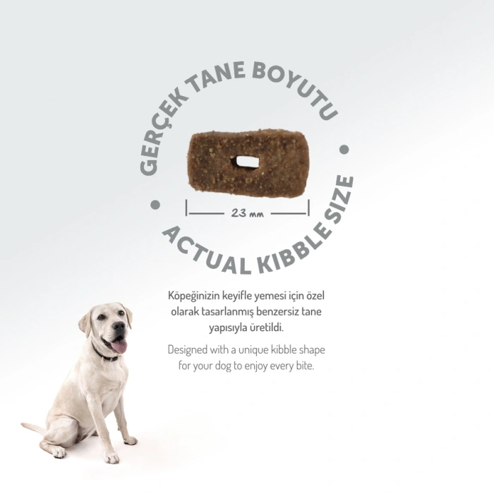 Felicia Düşük Tahıllı Hipoalerjenik Kuzu Etli Orta ve Büyük Irk Yetişkin Köpek Maması 3 Kg