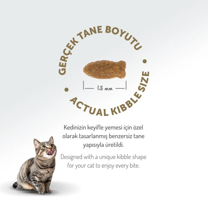 Felicia Düşük Tahıllı Hipoalerjenik Somonlu Yetişkin Kedi Maması 2 Kg