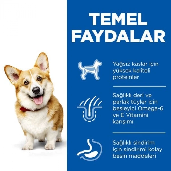 Hills Adult Small Mini Tavuklu Küçük Irk Köpek Maması 3 Kg