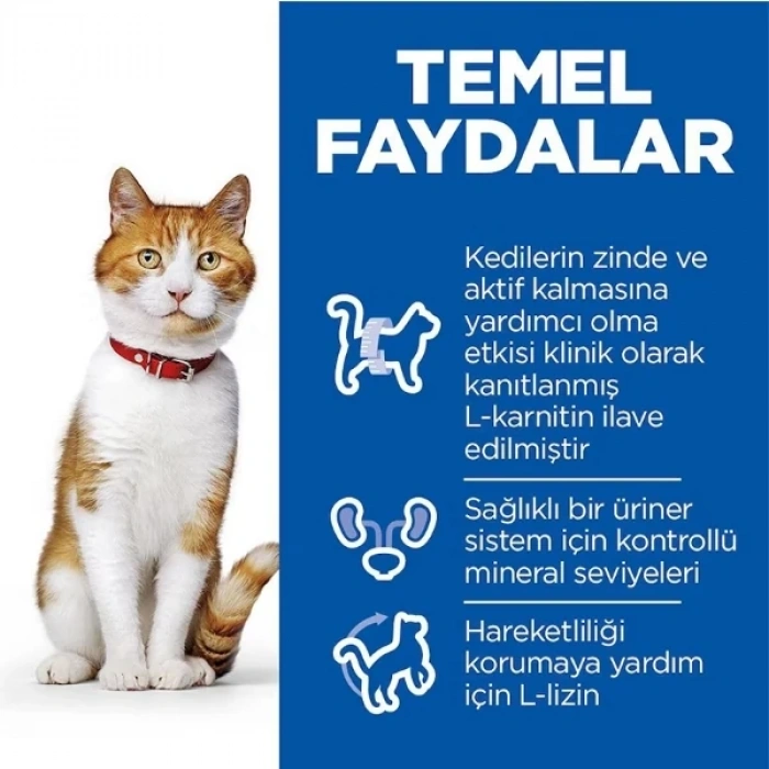 Hills Somonlu Kısırlaştırılmış Yetişkin Kedi Maması 13+2 Kg Hediyeli