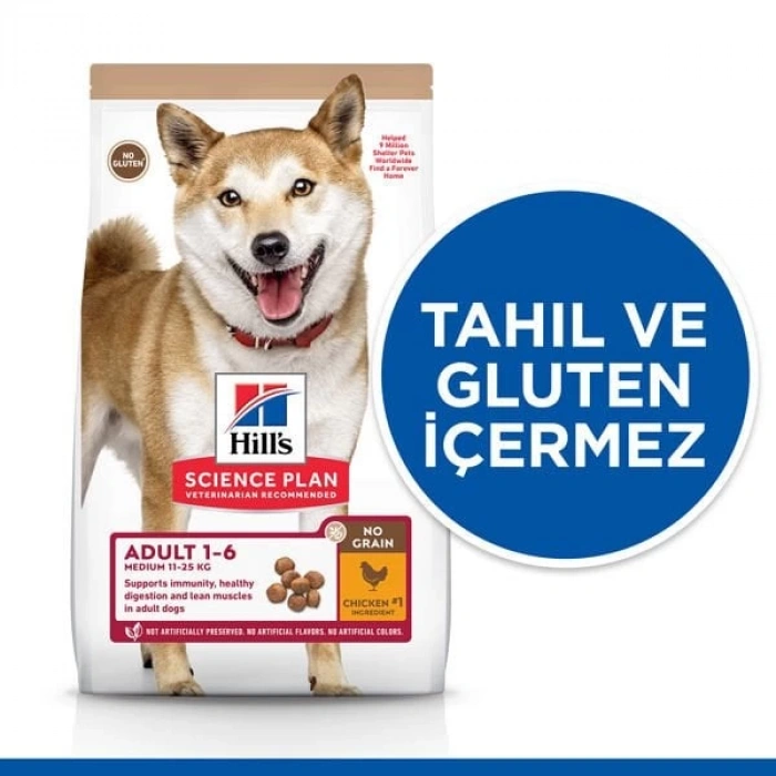 Hills Tahılsız Tavuklu Yetişkin Köpek Maması 12 Kg