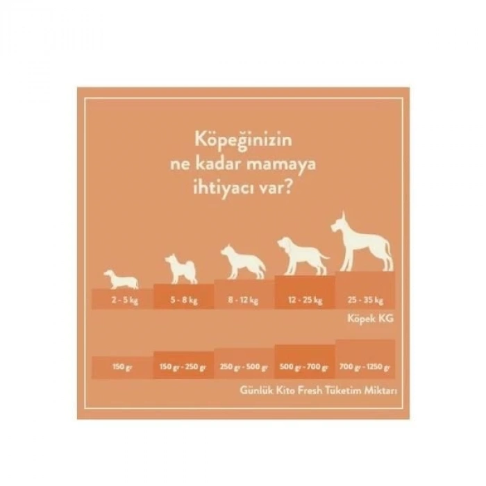 Kito Fresh Somon Etli Hipoalerjenik Taze Köpek Yemeği 250 Gr