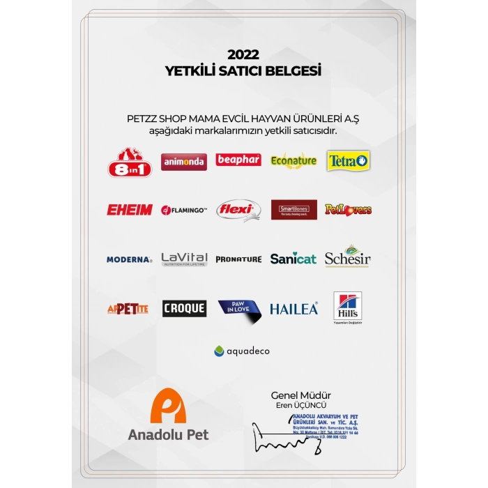 Kong Delikli Top Şeklinde Çok Amaçlı Köpek Oyuncağı Medium/Large