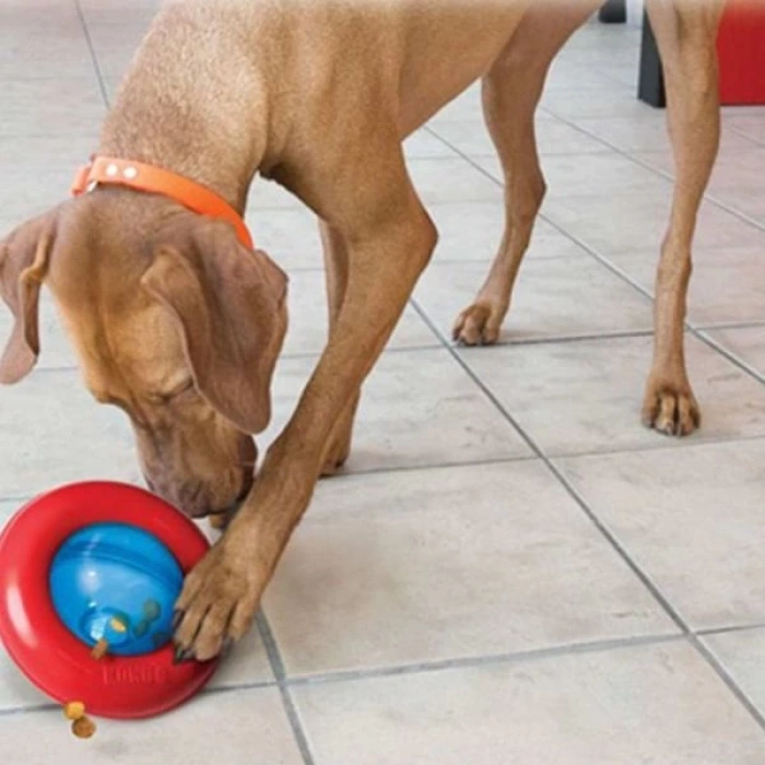 Kong Gyro Ödüllü İnteraktif Oyuncak Large 17 Cm