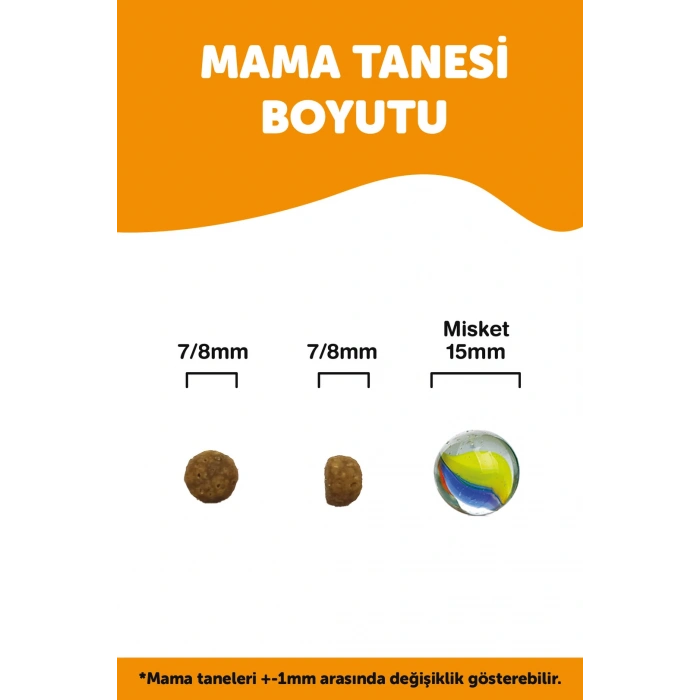 Lavital Büyük Irk Kuzu Etli Yavru Köpek Maması 3 Kg