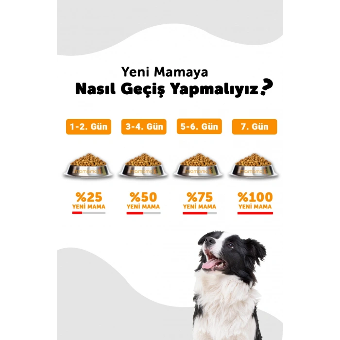 Lavital Büyük Irk Kuzulu Yetişkin Köpek Maması 15 Kg