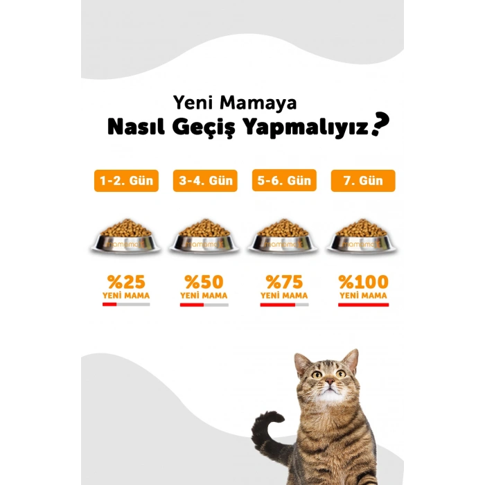 Lavital Sensitive Somonlu Yetişkin Kedi Maması 12 Kg