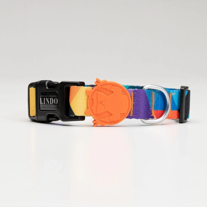 Lindo Dogs Ibiza Köpek Boyun Tasması Renkli Small